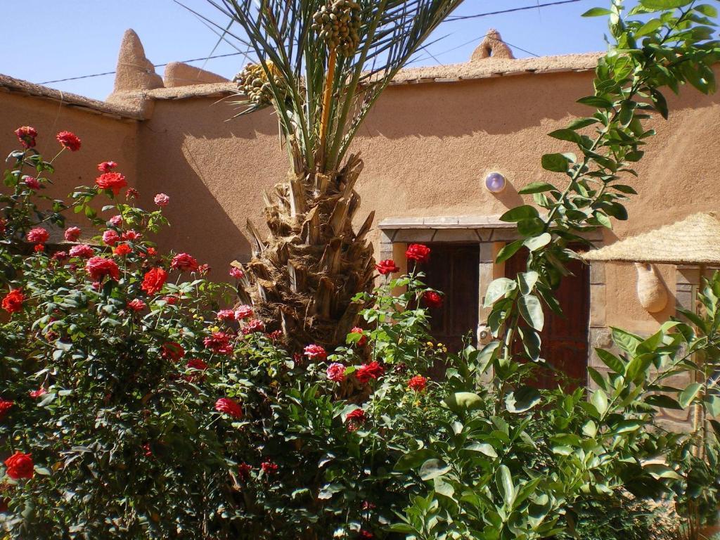 Maison D' Hotes Ait Hmid Nkob Экстерьер фото